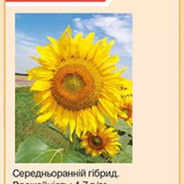 http://www.nash.center/companies/nas-nnya/o-kompanii/