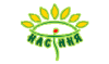 Насіння